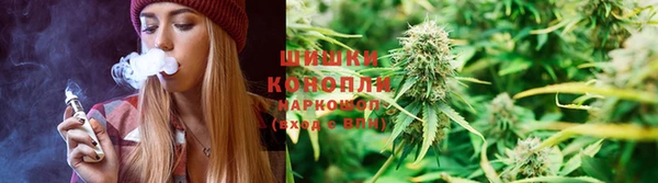 винт Абаза