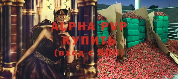 винт Абаза