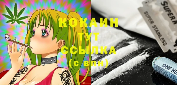 винт Абаза