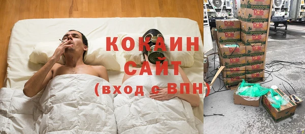 винт Абаза