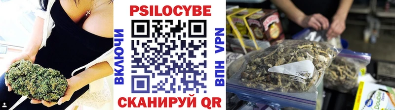 Галлюциногенные грибы Psilocybe  как найти наркотики  Павловский Посад 