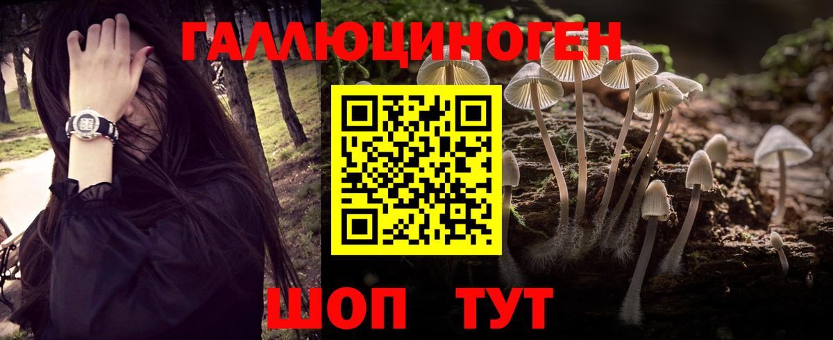 Псилоцибиновые грибы MAGIC MUSHROOMS Павловский Посад